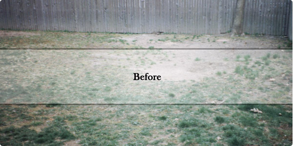 Before and after landscaping shots from The Great Outdoors, Inc. jobs around Portland Maine!